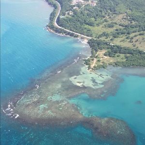 Meet your Posher, Madeline